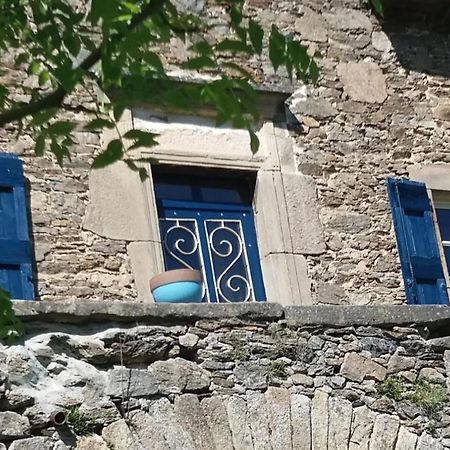 Domaine D'Angel-Berg Hotel Vezins-de-Levezou Екстериор снимка